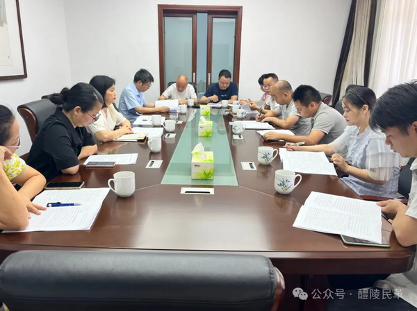 民革醴陵市委会召开重点课题调研工作推进会_调整大小.jpg