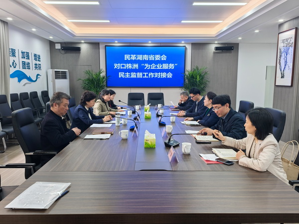 民革湖南省委会来株开展“为企业服务”民主监督工作对接暨专项调研 (2).jpg