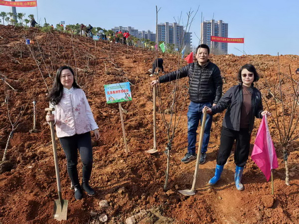【简讯】民革株洲市委会组织机关干部参加市直机关植树活动.jpg