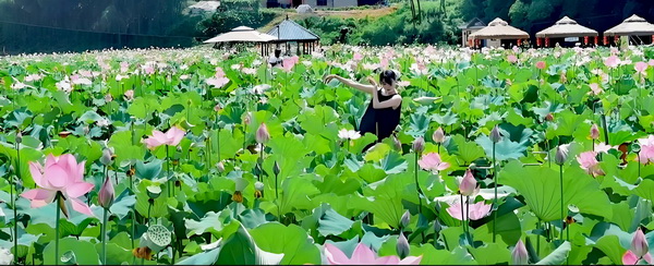【诗词园地】株洲民革党员欧阳瑾诗词四首：夏荷作伴诗得句，明月结邻酒上台.jpg