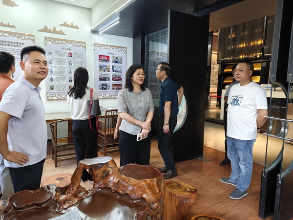 民革醴陵市委会开展“四位一体”建设“回头看”活�?(3) (1).jpg